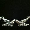 birds-and-rings-012