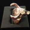 bull-ring(1)