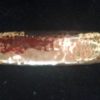 copper-bangle-side