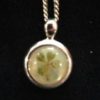 mid_small-clover-nc