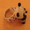 panda-ring-side