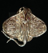 stingray-ring-2