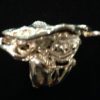 stingray-ring1